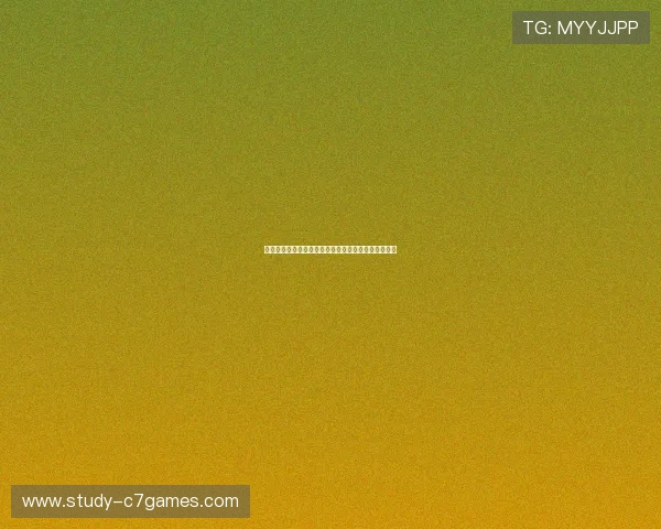 切尔西最新转会动态分析球队阵容调整与未来赛季展望